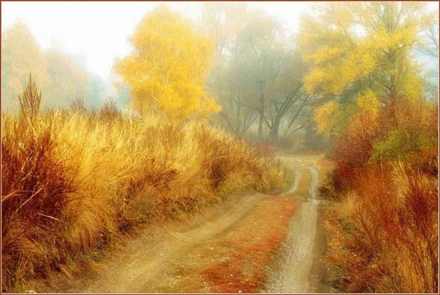 осень,пейзаж, Качурин Алексей