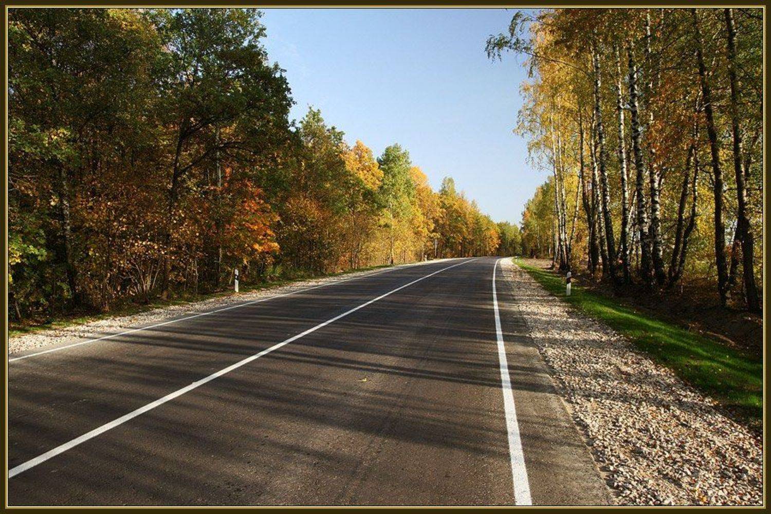 осень, дорога, поворот, Георгий