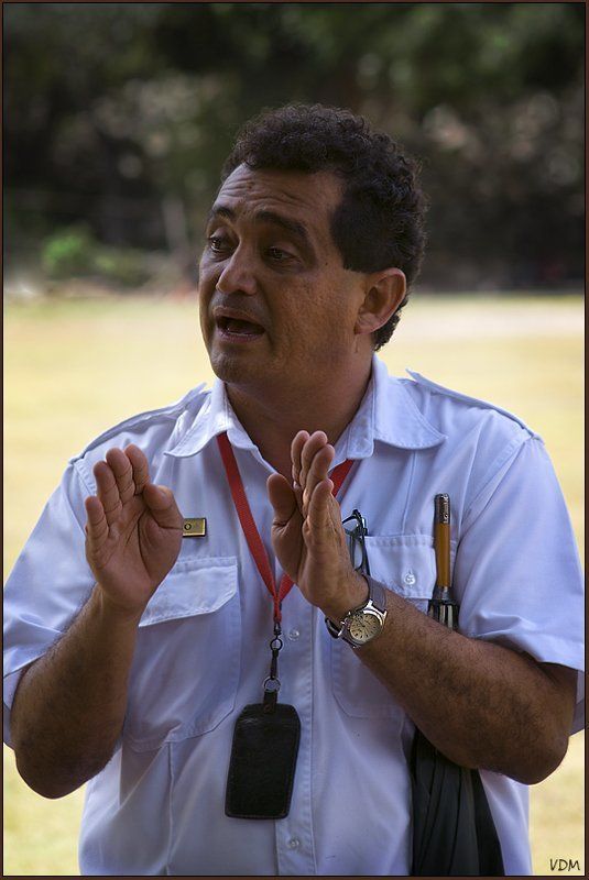 эрнесто ...Вот такие, но по пять... фото превью