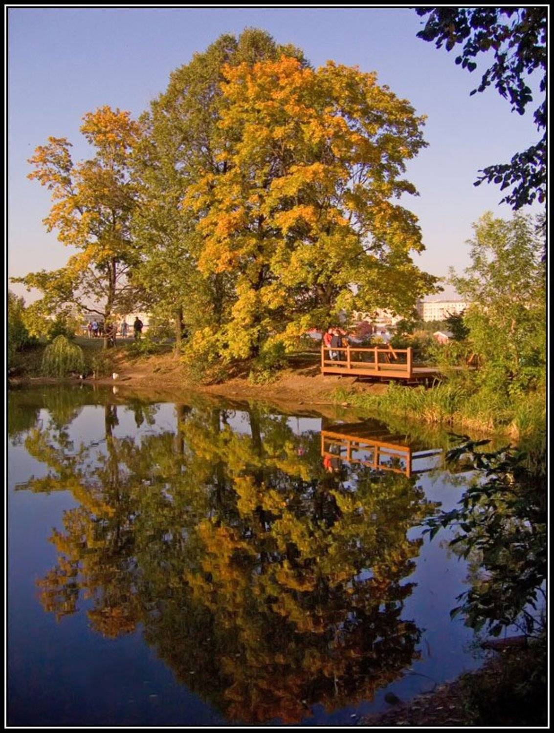 воробьёвы горы, осень, пруд, отражение, Алёна