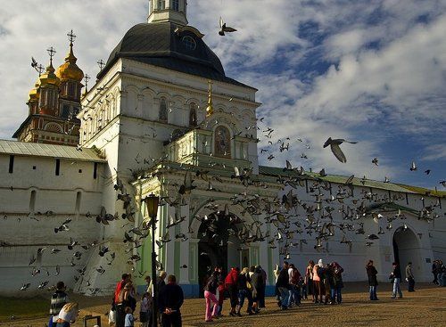 Голуби люди и Святые ворота Троице-Сергиевой лавры
