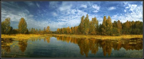 Осень золотая_1