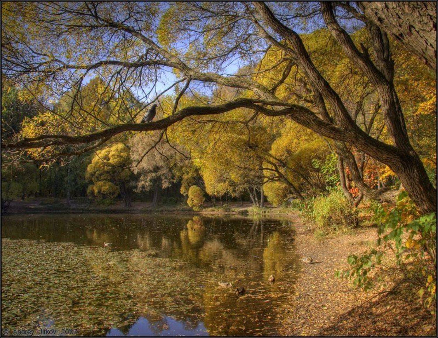 осень, октябрь, пейзаж, Андрей Житков