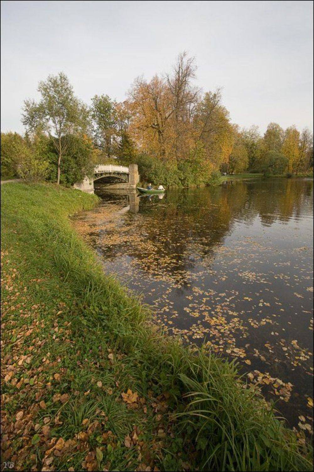 павловск, осень, Братаев Юра