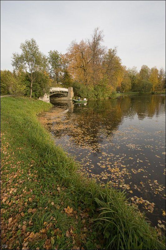 павловск, осень осенние прогулки #3 фото превью
