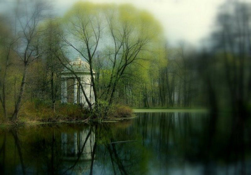 быково. беседка. пруд. дождь. ...сквозь дождь... фото превью