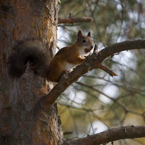 подготовка к зиме