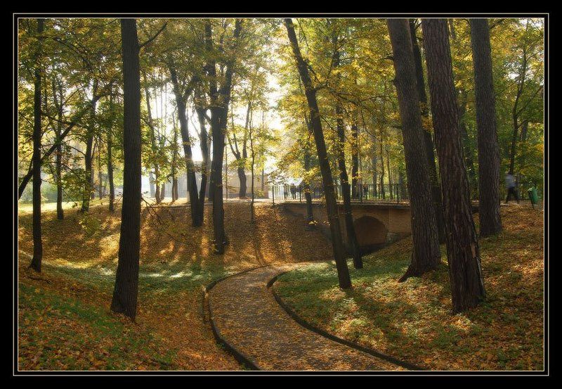 усадьба, архангельское, утро , солнце, памятник, архитектуры Осень в Архангельском фото превью