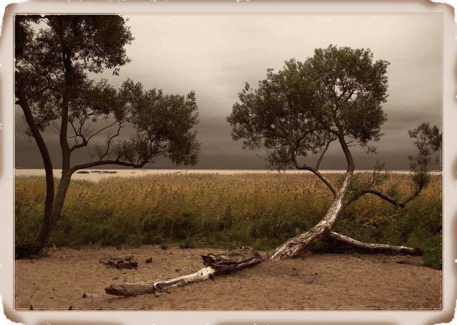 петергоф, парк александрия, Alexander