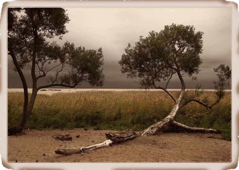 петергоф, парк александрия Жажда жизни фото превью