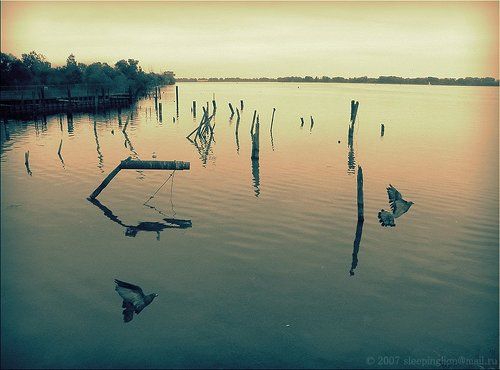 Watch...Listen...Enjoy