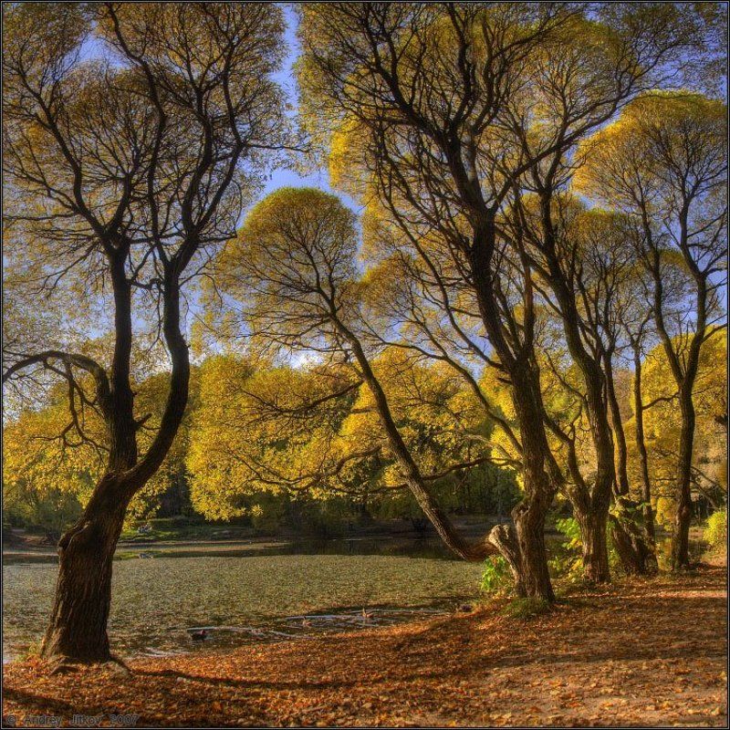 осень, октябрь, пейзаж Октябрь.. фото превью