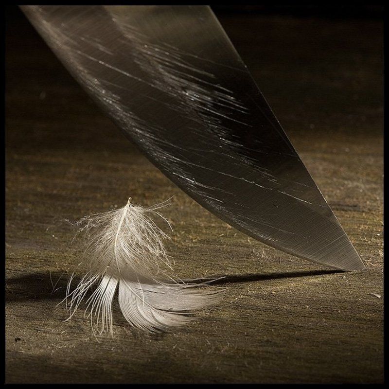 Обреченность фото превью