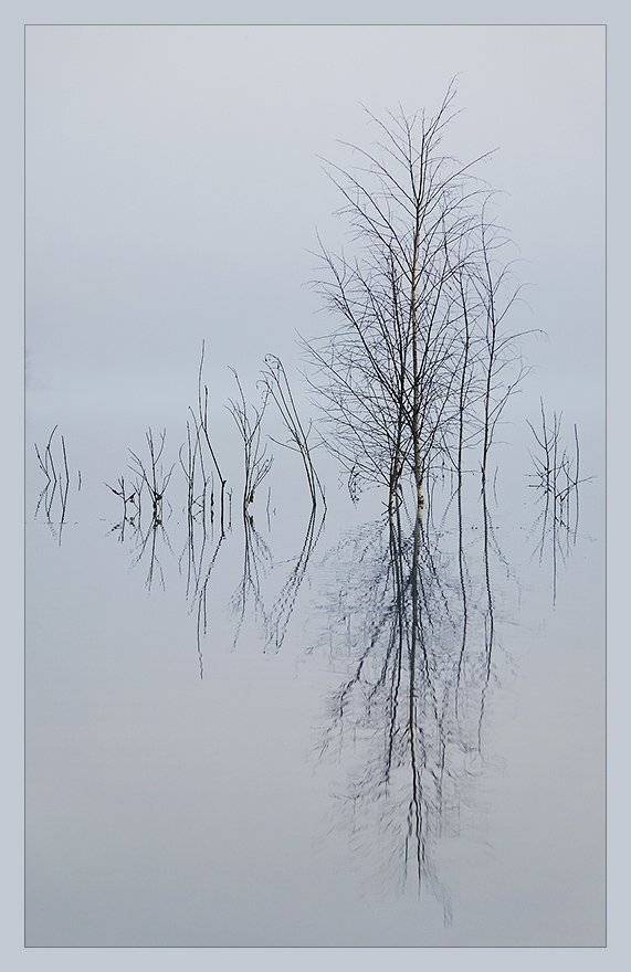 , Марина Кочетова