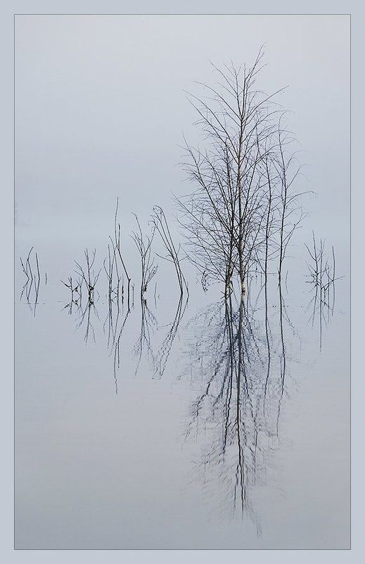 Прохлада утра.. фото превью