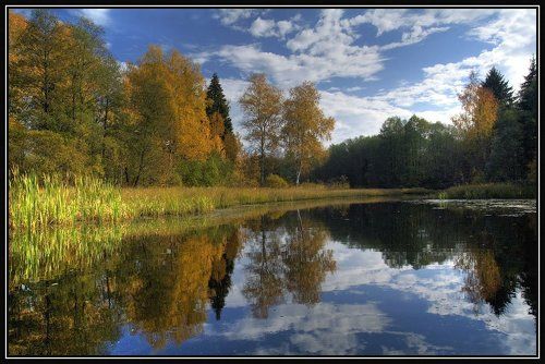 Осень золотая_2