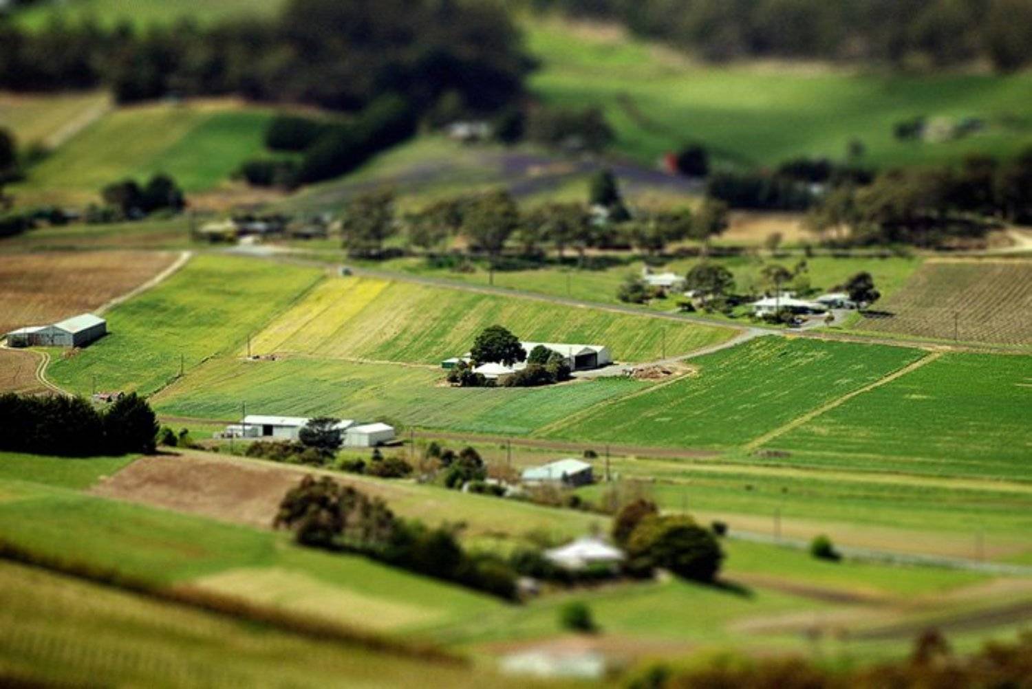 австралия, Gela