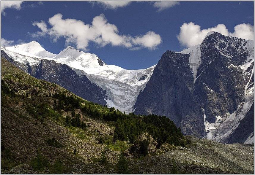 горы, алтай, горный алтай, ледник, мюшту-айры, кедры, аня графова, Аня Графова