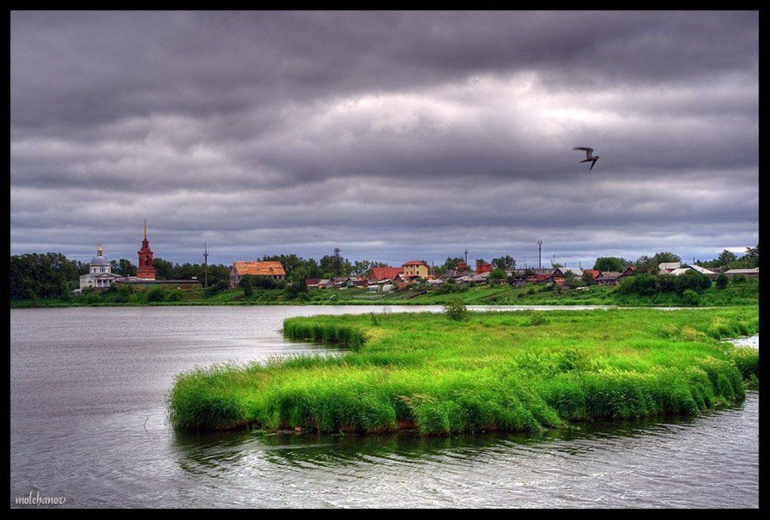 арамиль, река, остров, трава, тучи, чайка, Молчанов Иван