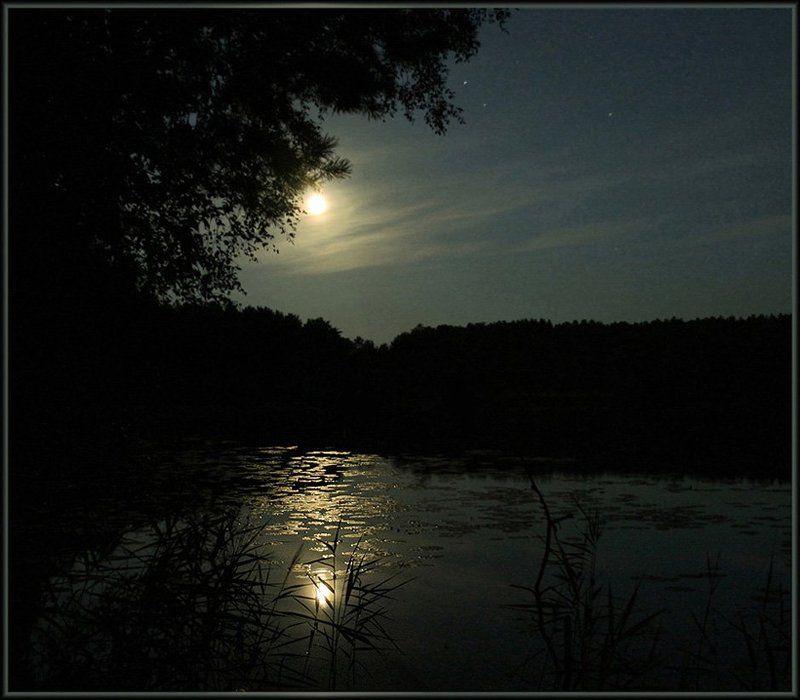 ночь Летняя ночь фото превью