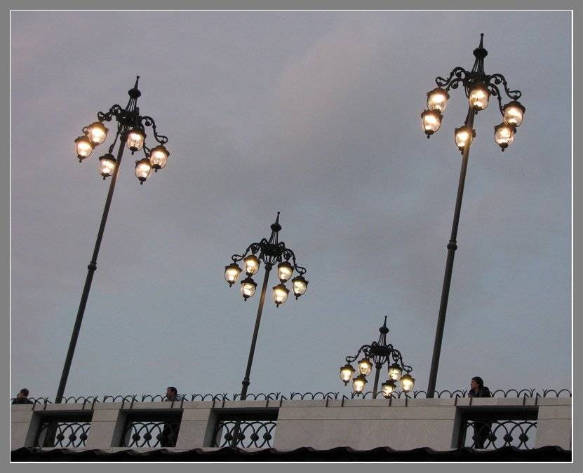 , Лунный Ежик