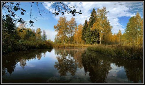 Осень золотая_3