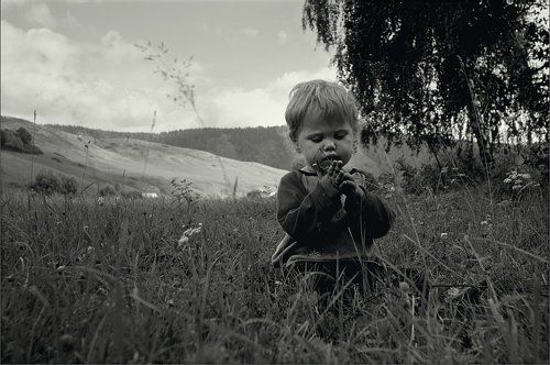 Любит... не любит...