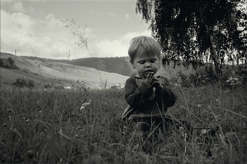 Любит... не любит... фото превью