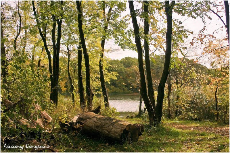 Лесная мозаика осени фото превью