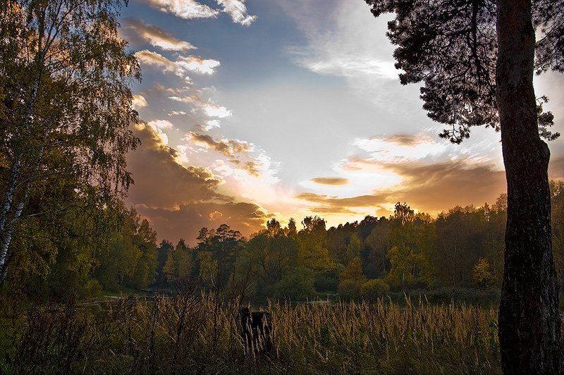 лес осень закат про закат в подмосковье... фото превью