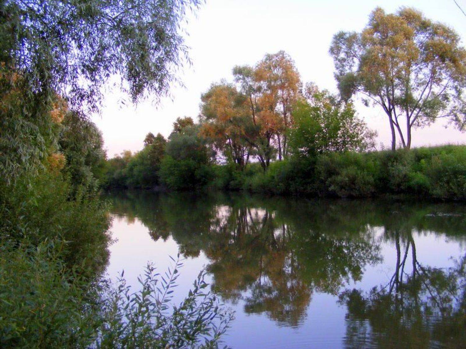 река сургут, Andi