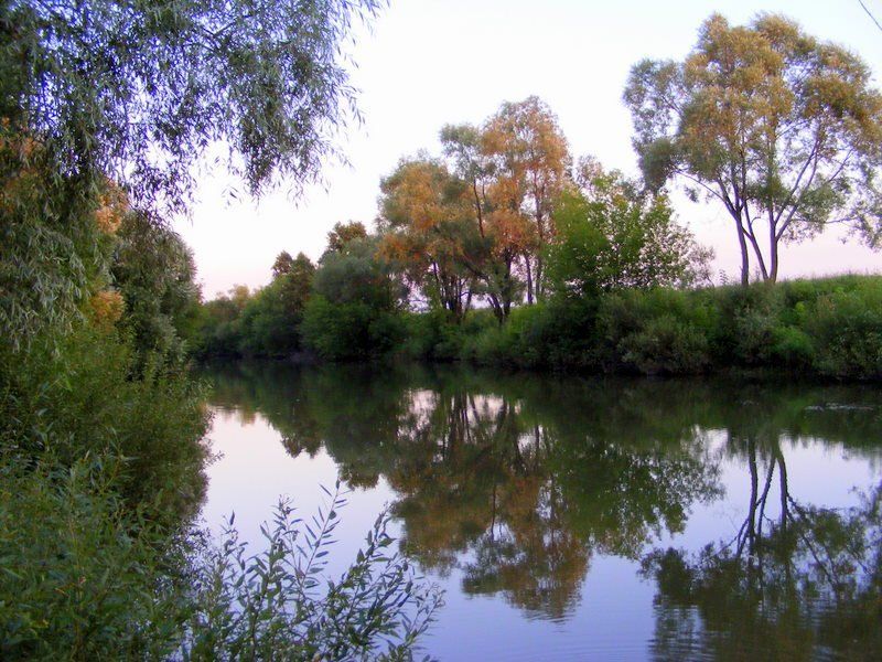 река сургут  фото превью