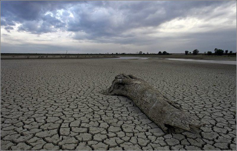 река, псекупс, засуха, дождь В ожидании дождя фото превью