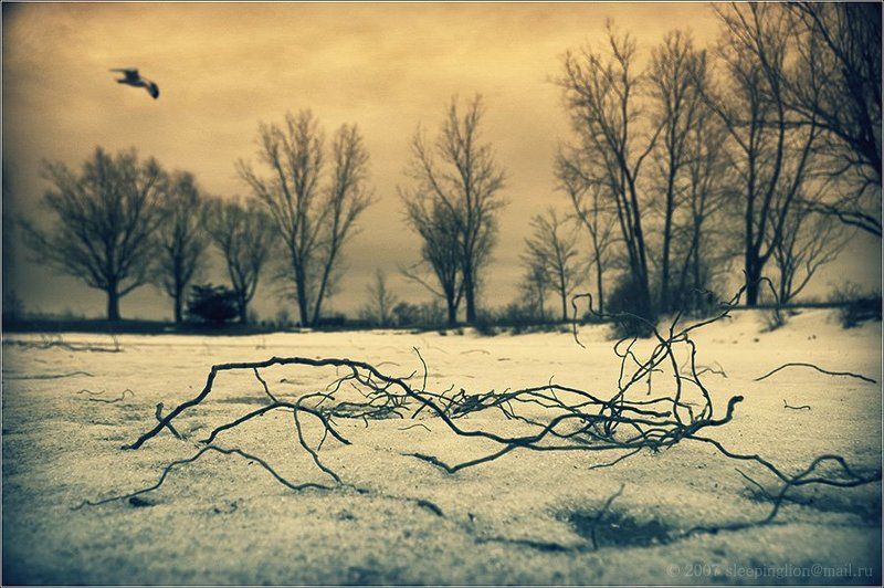 Скоро... фото превью