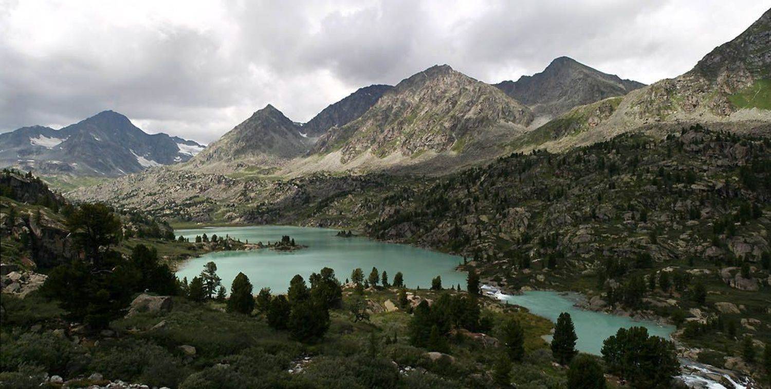 будков дмитрий республика алтай дарашколь, Demetrius