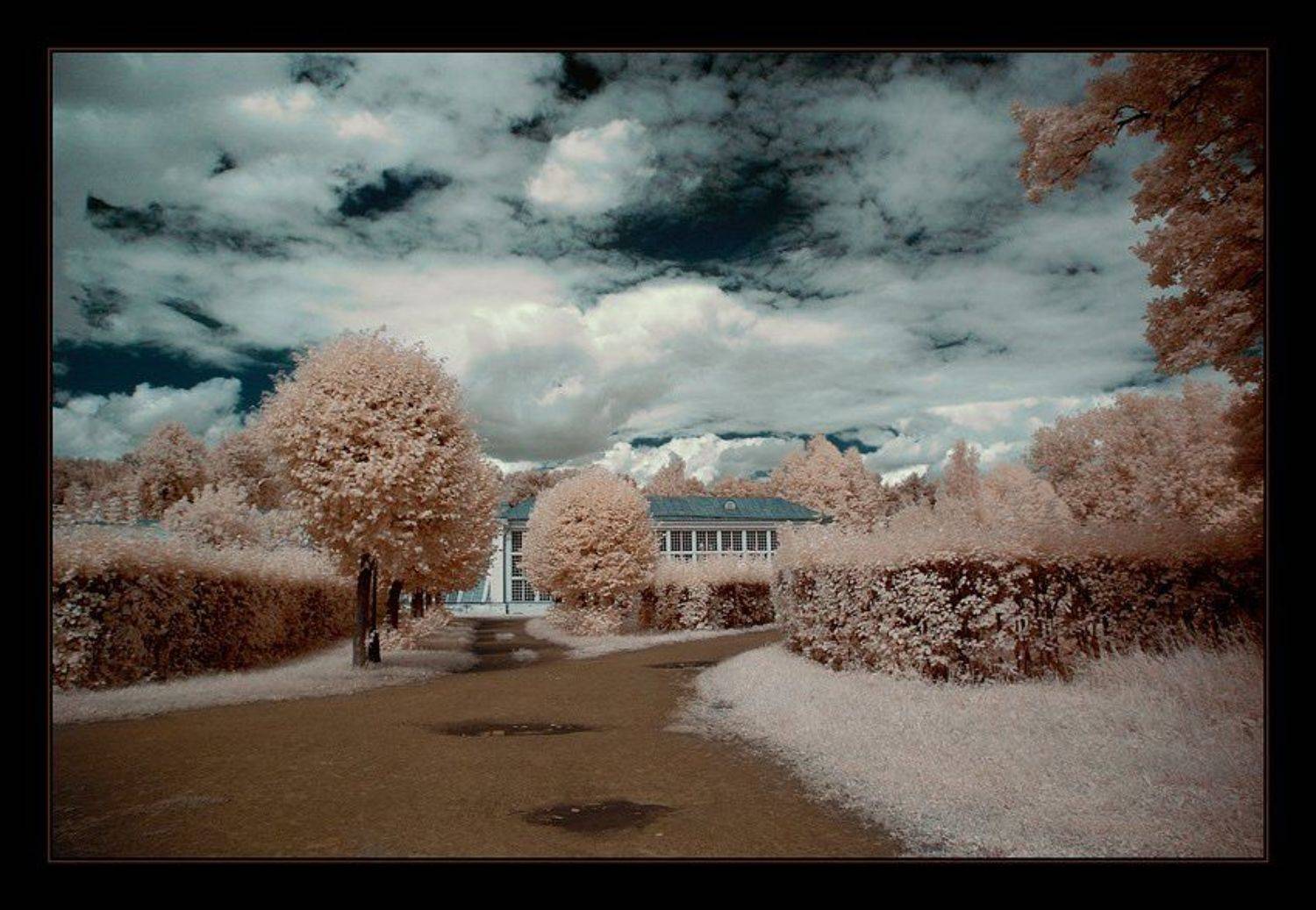 ик, infrared, инфракрасное, кусково, Капустин Николай