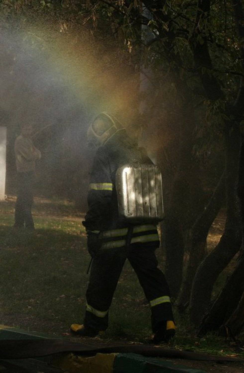 , Эвелина Гигуль