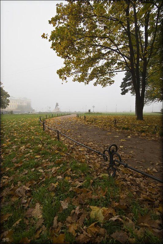 петербург, осень, медный всадник, в городе осень фото превью