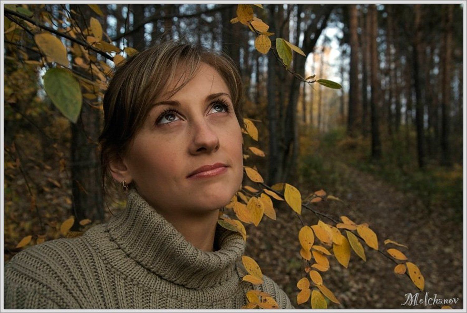 парк, осень, желтые, листья, девушка, загадка, осеннее, настроение, оксана, Молчанов Иван