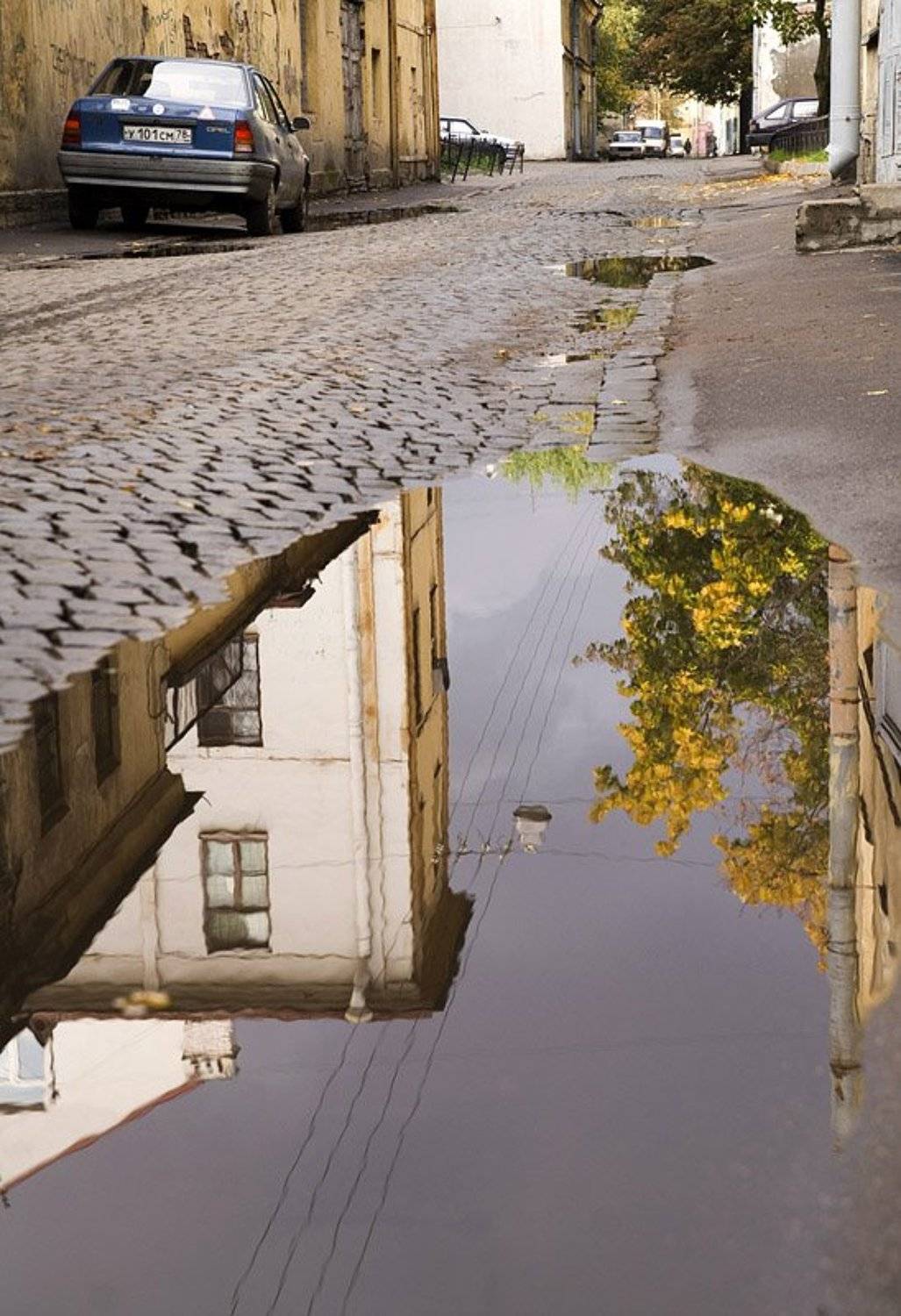 улица, репина, лужа, отражение, Dankost