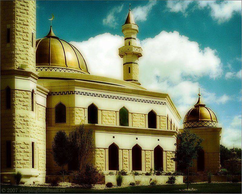 pilgrim, пленка, средний формат, кросс-слайд, Pilgrim