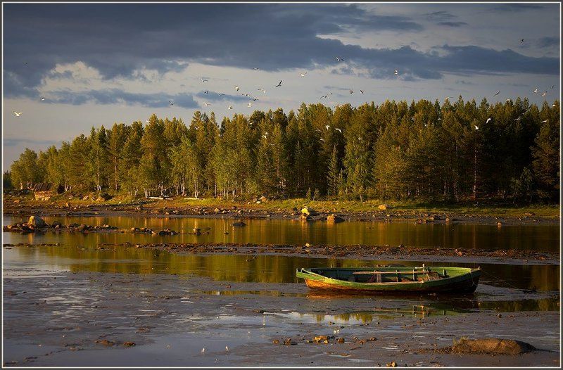 Отлив на Белом.. фото превью