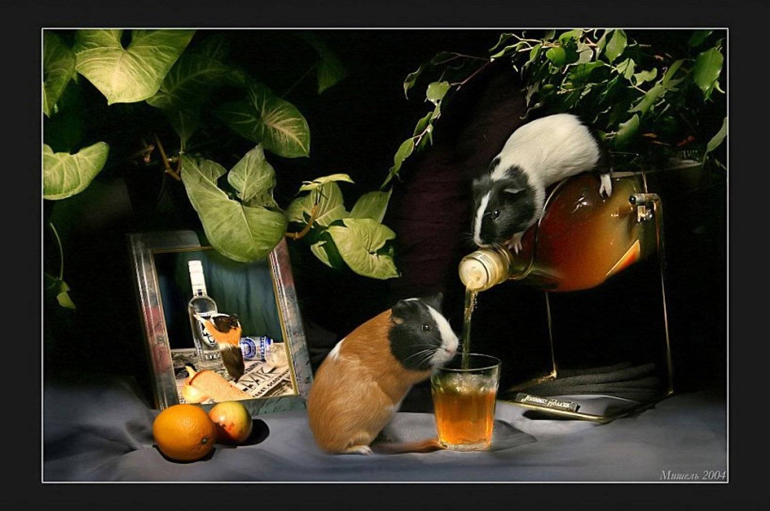 , Михаил Курцев