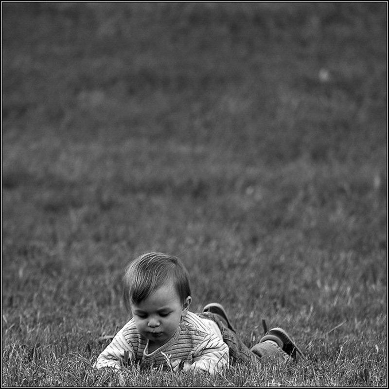 игра,дети Джекуня :) фото превью