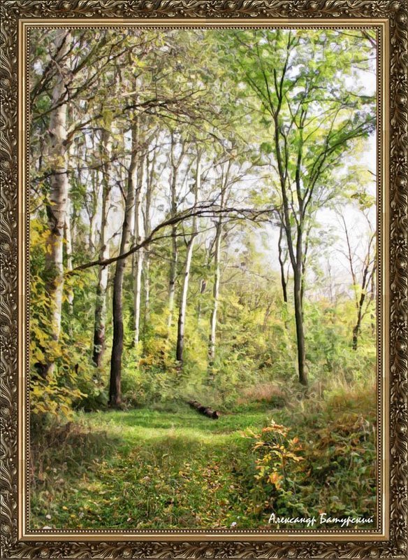 Проникновение осени фото превью