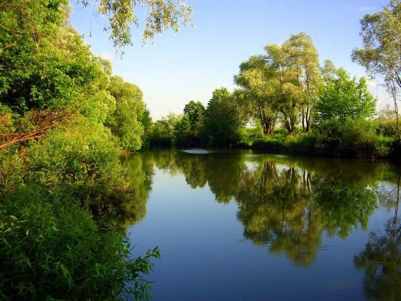 река сургут  фото превью