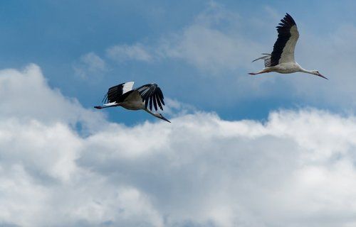 Полетели за детьми :)