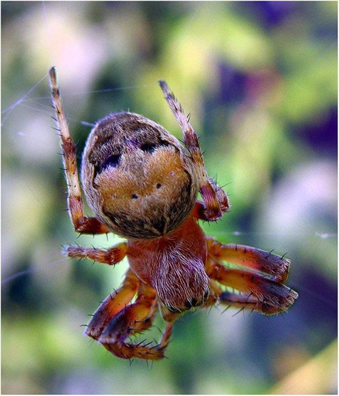 летят йоги поджав ноги! фото превью