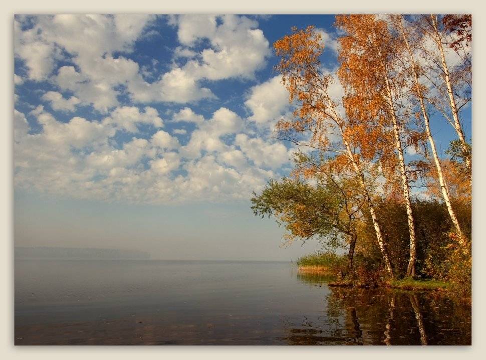 , Владимир Липецких