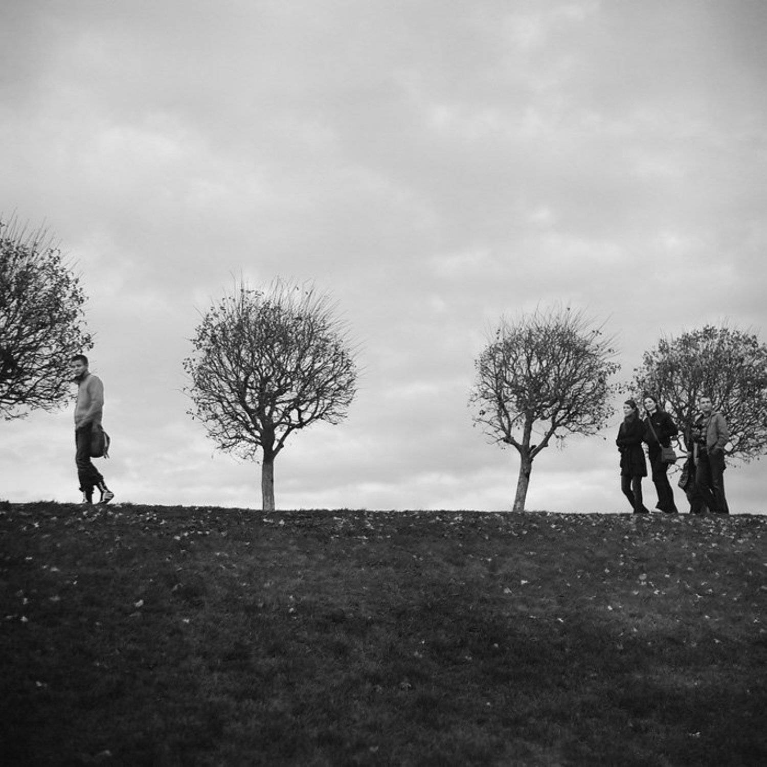 kamushek, пленка, киев-6с, 6x6, волна-3, kamushek